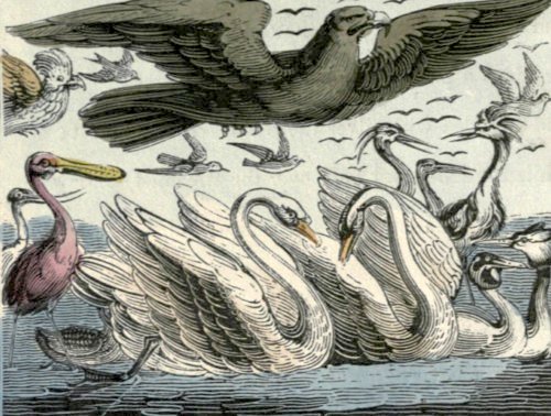 Cards take a peek at Real Madrid v Juventus…and the General&nbsp;Election