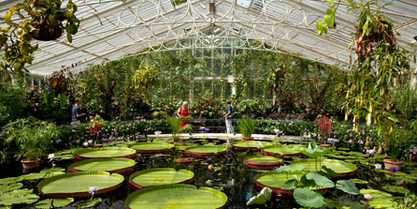 visit-to-kew-gardens-29093000_10x5