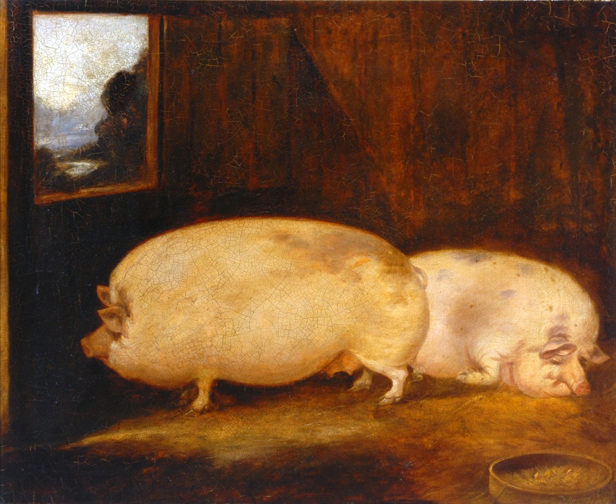 This year’s star: The&nbsp;pig