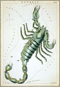 Sidney_Hall_-_Urania's_Mirror_-_Scorpio.jpg